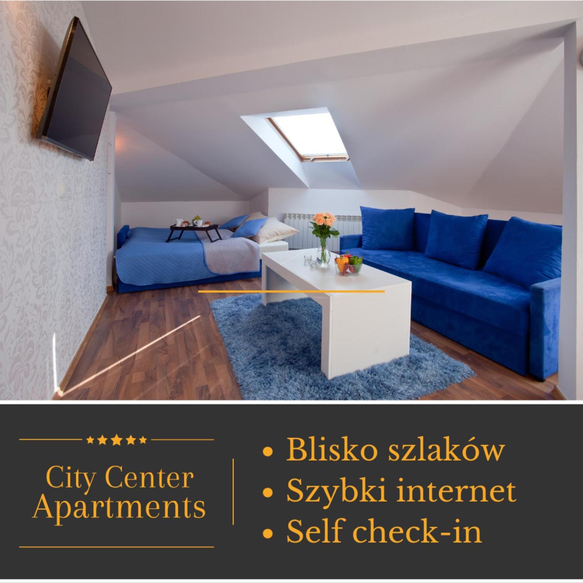 Apartament City Center Studio Deluxe 克雷尼察 外观 照片